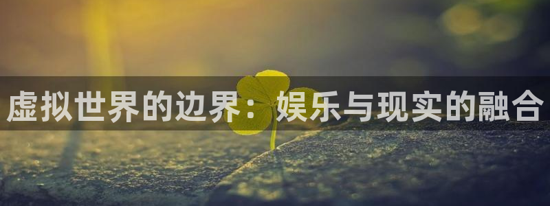 恩佐娱乐：虚拟世界的边界：娱乐与现实的融合