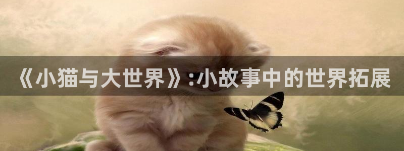 恩佐娱乐：《小猫与大世界》:小故事中的世界拓展