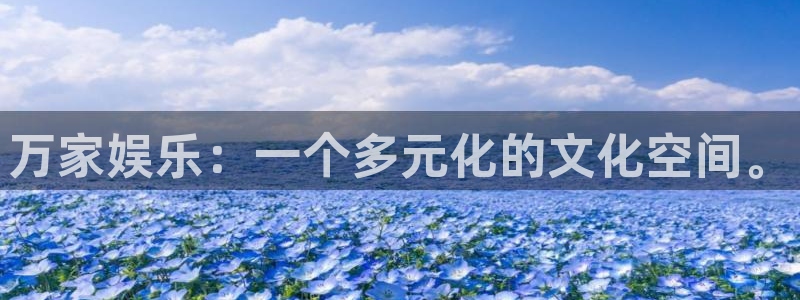恩佐娱乐：万家娱乐：一个多元化的文化空间。