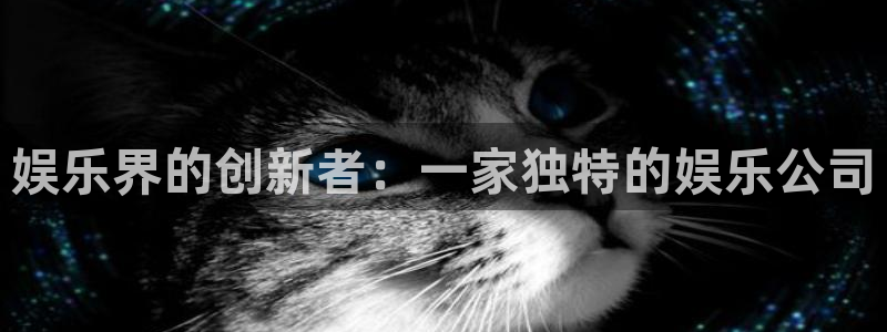 恩佐娱乐：娱乐界的创新者：一家独特的娱乐公司