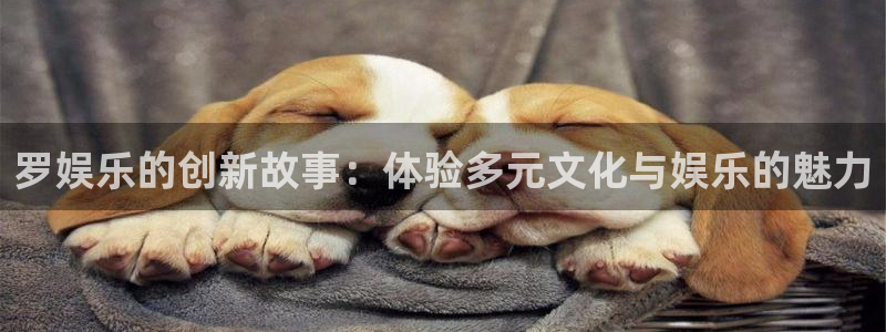 恩佐娱乐：罗娱乐的创新故事：体验多元文化与娱乐的魅力